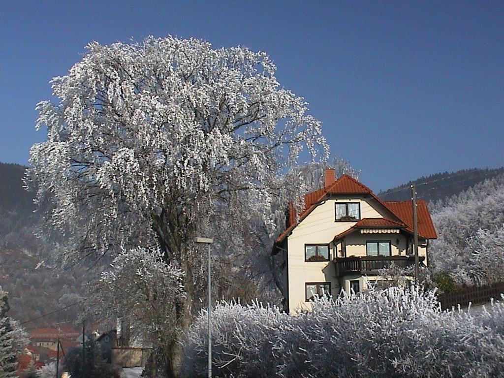 全景公寓 Rauenstein 外观 照片